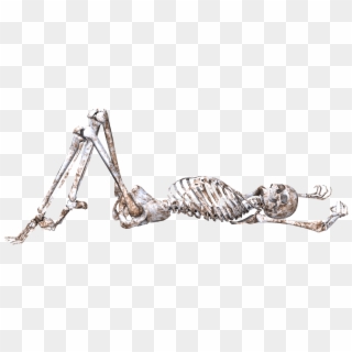 Skeleton, Pose, Skull, Bones, 3d, Lying Down, Png - Lying Skeleton Png Clipart