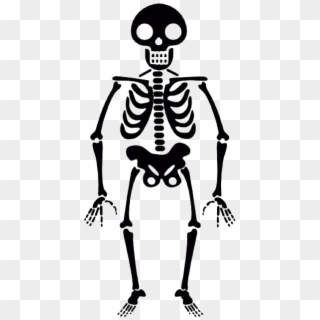 Halloween Skeleton Transparent Png - Transparent Skeleton Clipart