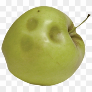Multiple Bruises Like This Are Common To Thinning, - Granny Smith Clipart