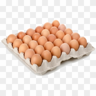 Arquitecto, Te Lo Ponemos A Huevo - Eggs Case Clipart
