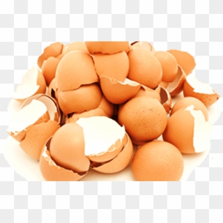 ¡cuando Sepas Los Beneficios De Los Cascarones De Huevo - Egg Clipart