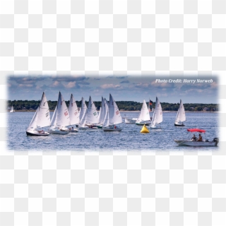 Fall Racing, Byc - Dinghy Sailing Clipart