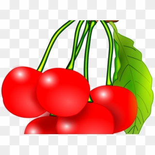 Cherry Clipart Kind Fruit - Cherry Fruit Clip Arts - Png Download