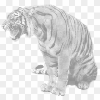 India - Maltese Tiger Clipart