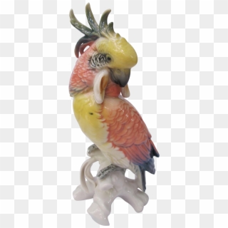Vintage Ens Germany Cockatoo Figurine Found At Www - Macaw Clipart