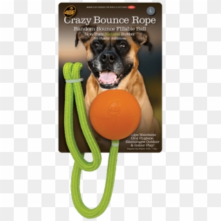 4 Best Friends Natural Rubber Pet Toys - Dog Catches Something Clipart