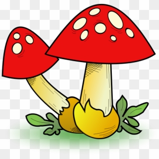 Clipart - Fungal Forest - Mushroom Clipart - Png Download