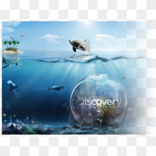Moana Tv Web Banner Discovery - Discovery Channel Art Clipart