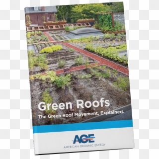 Flyer Clipart