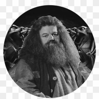 Rubeus Hagrid Face Png Clipart