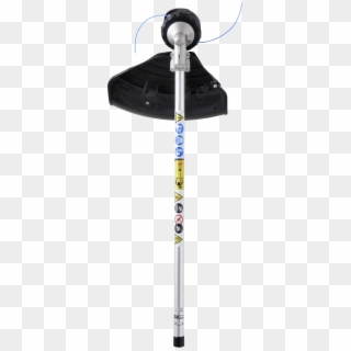 Mta-tb Clipart