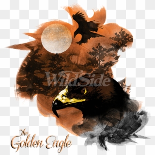 Birds Of Prey Golden Eagle - Myna Clipart