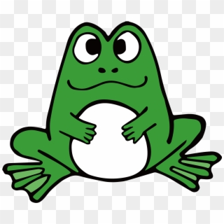 Amphibian Cartoon Frogs - 卡通 青蛙 素材 Clipart