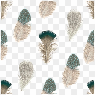 Peacock Feather Watercolor Decorative Illustration - White Pine Clipart