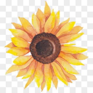 Self Portraits - Sunflower - Transparent Background Watercolor Sunflower Clipart - Png Download