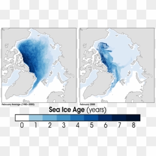 Arctic Sea Ice Age2008 - Average Arctic Sea Ice Age Clipart