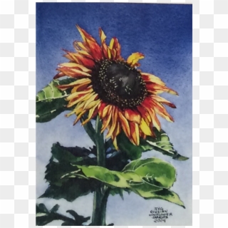 Cjg-02 - Sunflower Clipart