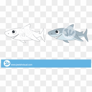 Illustration , Png Download - Great White Shark Clipart