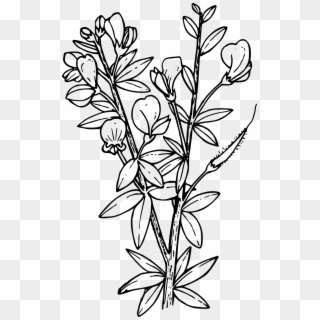 Shape Flower Plant Wild Wildflower Png Image - Coloring Book Pages Clipart