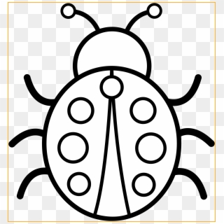 Graphic Library Library The Best Colorable Ladybug - Colouring Images Of Bug Clipart