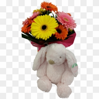 Easter Flowers & Soft Bunny - Barberton Daisy Clipart