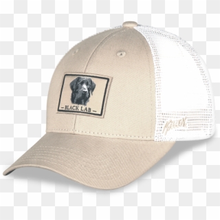 Black Lab Hat - Baseball Cap Clipart
