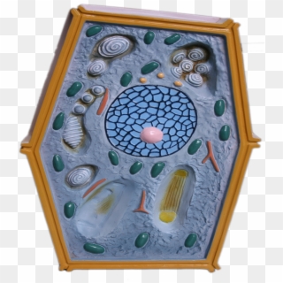 Plant Cell Model For Biology, Plant Cell Model For - Motif Clipart