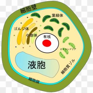 Japan Cell - Zombie Smiley Face Clipart
