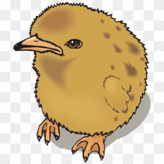 Chick Baby Chicken Farm Animal Poultry Livestock - Bird Vector Clipart