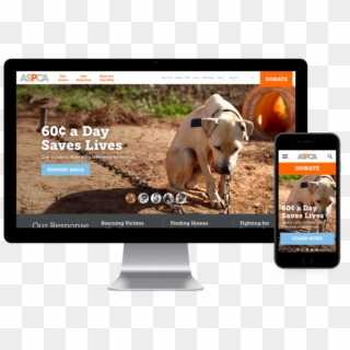 Aspca Site Display - Maus Tratos Contra Animais Clipart