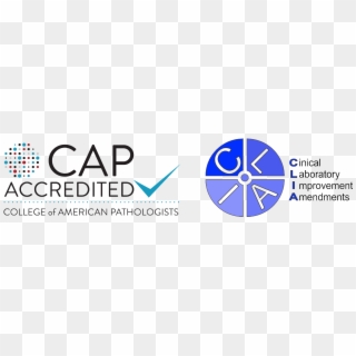 Certifications - Clinical Laboratory Improvement Amendments Logo Clipart