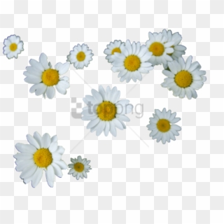 Free Png Transparent Flower Tumblr Png Image With Transparent - Daisys Transparent Clipart