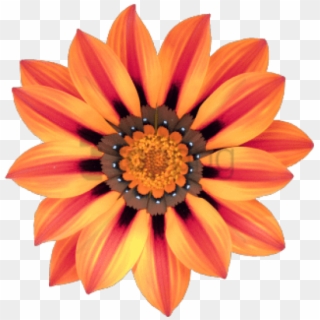 Free Png Transparent Flower Tumblr Png Image With Transparent - Flores Africa Clipart