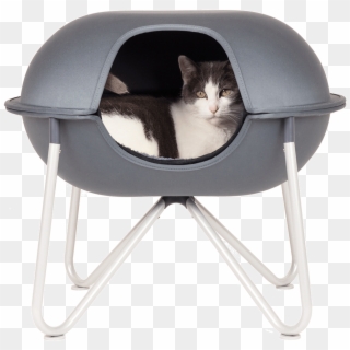 At Hepper We Design Solutions To Everyday Pet Problems, - Pod Cats Clipart