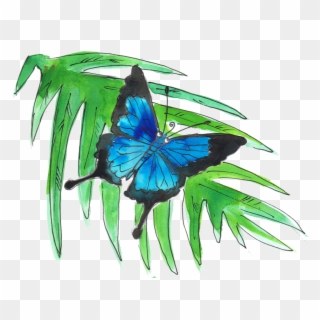 Ulysses Butterfly - Swallowtail Butterfly Clipart
