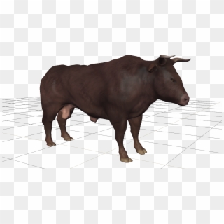 Bull Cattle Bison Horn Hairy Men Transprent , Png Download - Bull Clipart