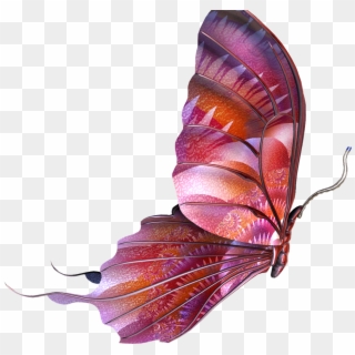 Butterfly Psd Clipart