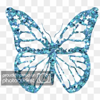 Turq Gltr Butterfly2 - Adonis Blue Clipart