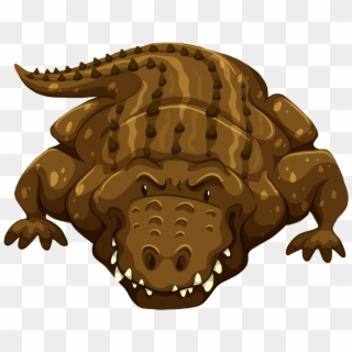Front On View Of A Crocodile Clipart