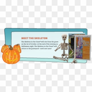 All October Long - Skeleton Clipart