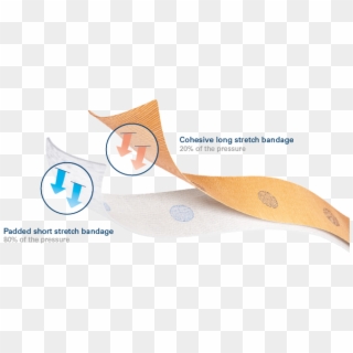 Association Of A Short Stretch Bandage That Provides - Cartoon Clipart