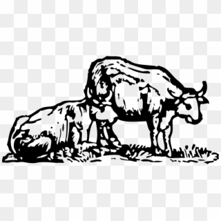 Oxen Clip Art Png Black And White Transparent Png