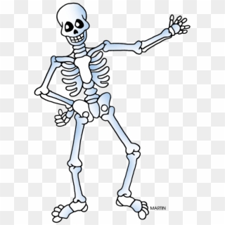 Halloween Skeleton Png Download Image - Skeleton Clipart Transparent Png