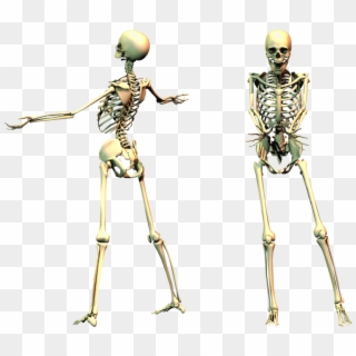 Spooky Skeleton Png Clipart