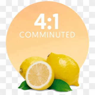 Com/wp Comminuted 4 1 - Sweet Lemon Clipart