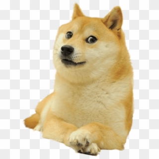Doge Full Smiling - Doge Meme Transparent Clipart