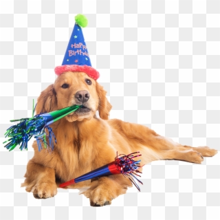 Birthday Dog Png Transparent Birthday Dog - Birthday Dog Clipart