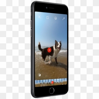 Get The App - Dog Catches Something Clipart