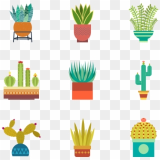 Cactus Collection - Kaktüs Icon Clipart