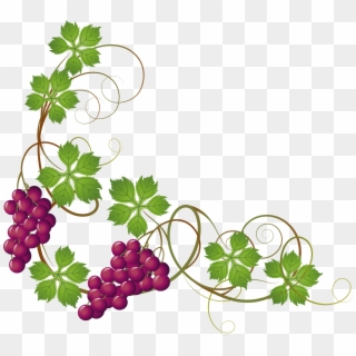 Png Freeuse Download Common Grape Vine Grape Leaves - Wine Grapes Clip Art Transparent Png